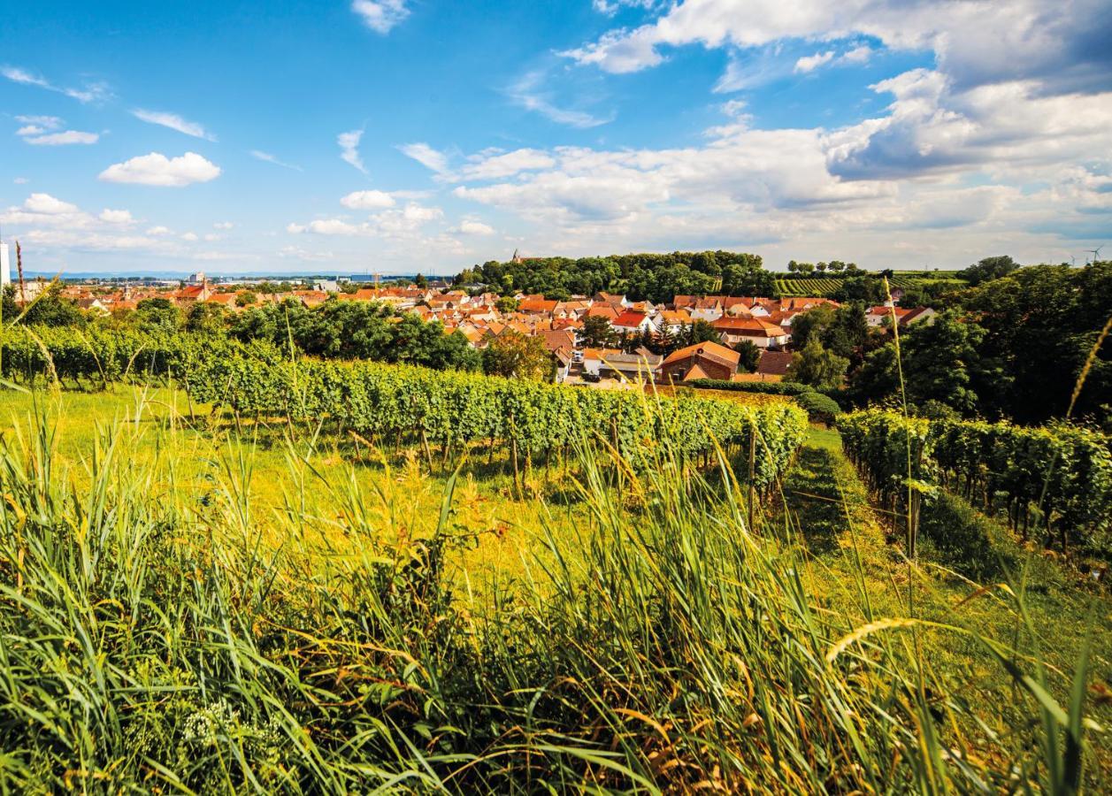 Gaestehaus Steinmuehle Osthofen Bagian luar foto